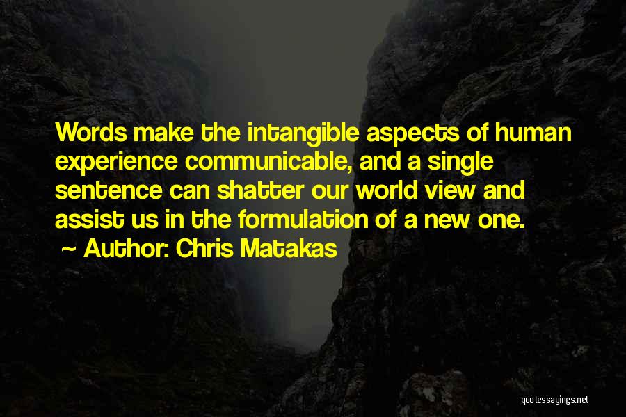 Single Sentence Quotes By Chris Matakas