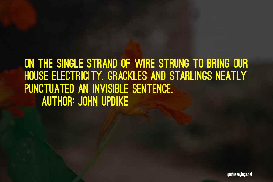 Single Sentence Quotes By John Updike