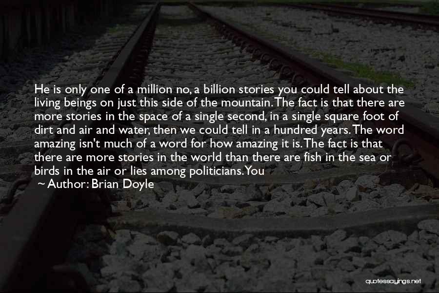 Single Word Sad Quotes By Brian Doyle