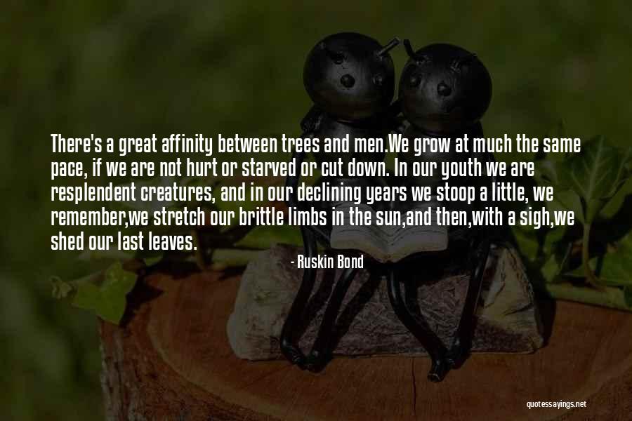 Singletrack Health Quotes By Ruskin Bond Singletrack Health Quotes By Ruskin Bond