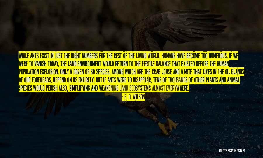Singolare It Quotes By E. O. Wilson Singolare It Quotes By E. O. Wilson