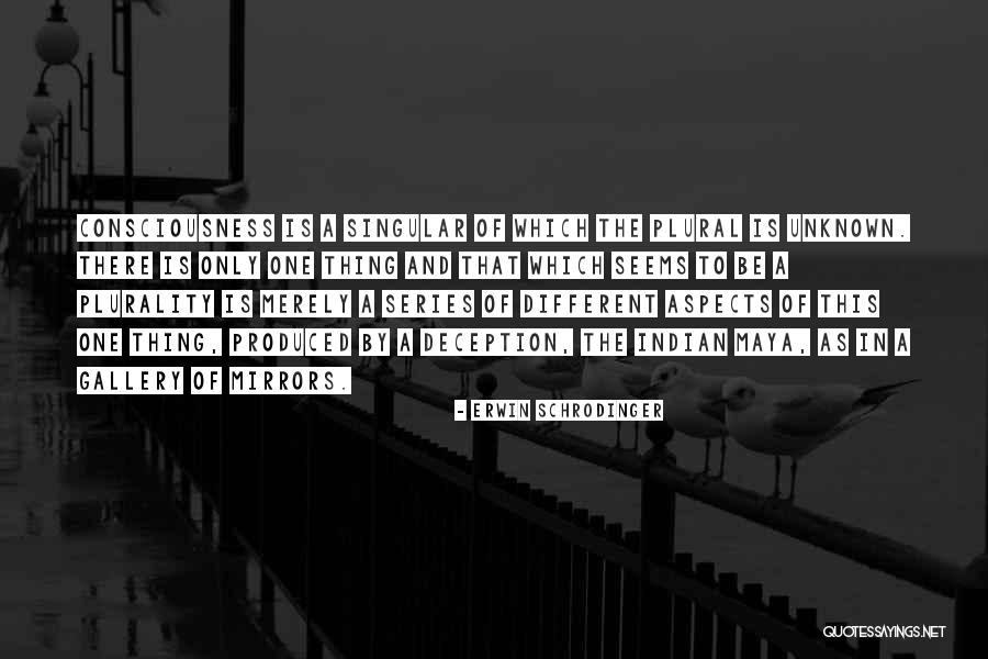 Singular And Plural Of Quotes By Erwin Schrodinger Singular And Plural Of Quotes By Erwin Schrodinger