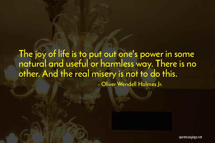 Singuratate Quotes By Oliver Wendell Holmes Jr. Singuratate Quotes By Oliver Wendell Holmes Jr.