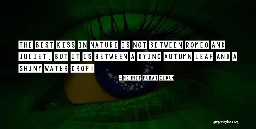 Sinicropispine Quotes By Mehmet Murat Ildan Sinicropispine Quotes By Mehmet Murat Ildan