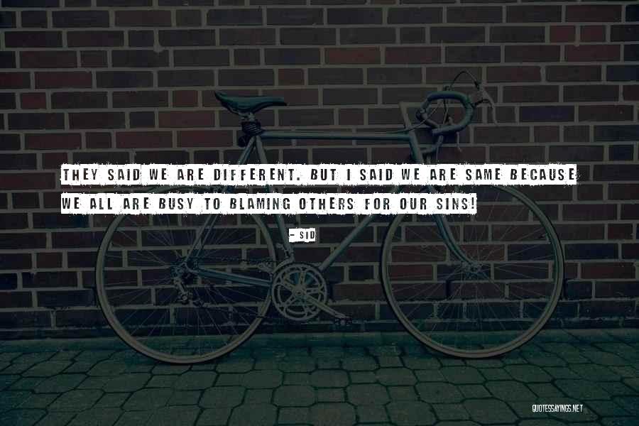 Sinirleri Sakitlesdiren Quotes By Sid