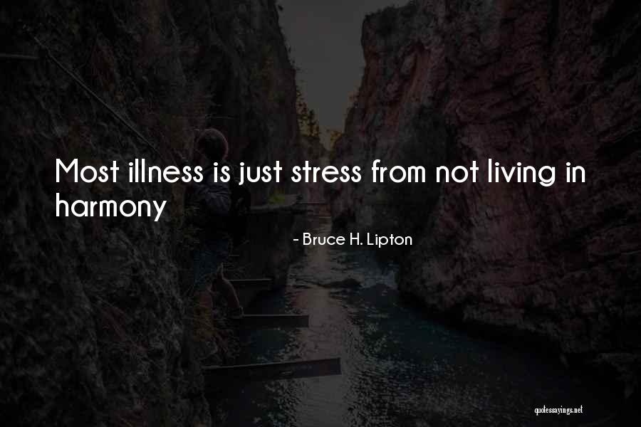 Siniscalco Quotes By Bruce H. Lipton Siniscalco Quotes By Bruce H. Lipton