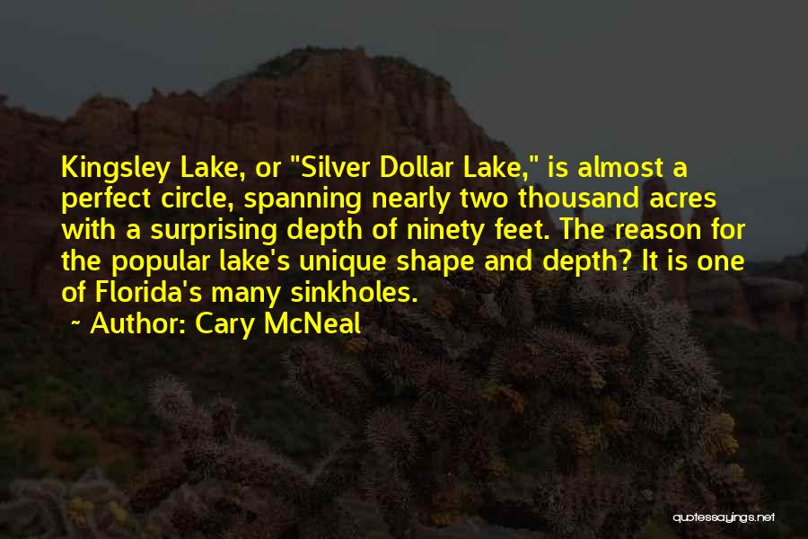 Sinkholes Quotes By Cary McNeal