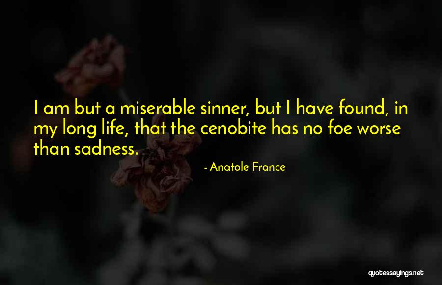 Sinner Quotes By Anatole France Sinner Quotes By Anatole France