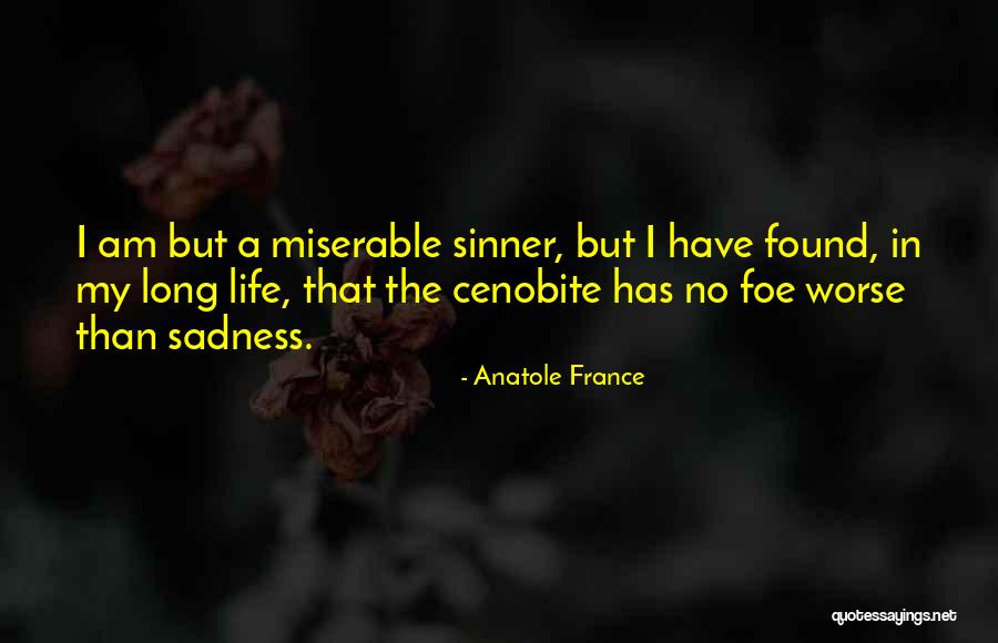 Sinner Quotes By Anatole France