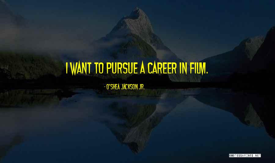 Sinnett Law Quotes By O'Shea Jackson Jr. Sinnett Law Quotes By O'Shea Jackson Jr.