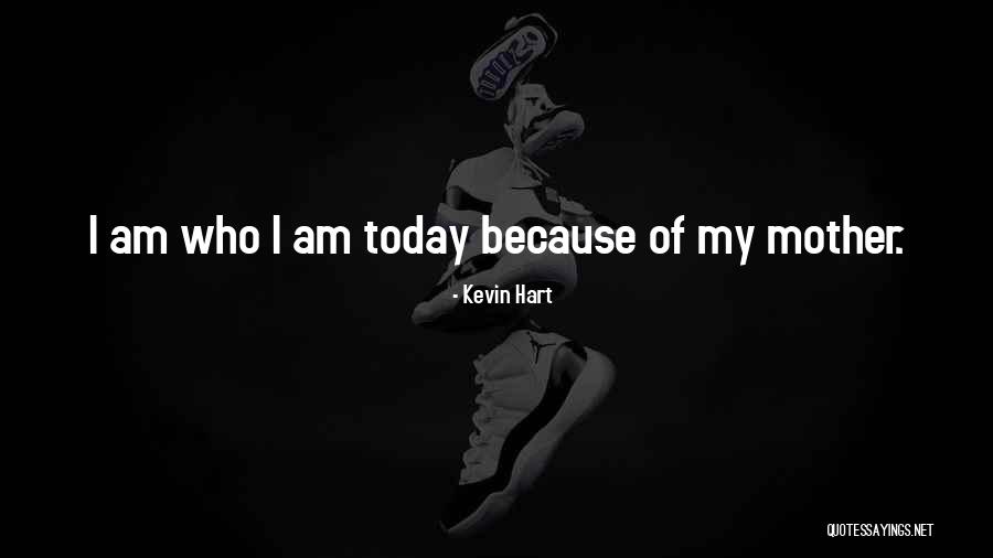 Sinometal Technology Quotes By Kevin Hart