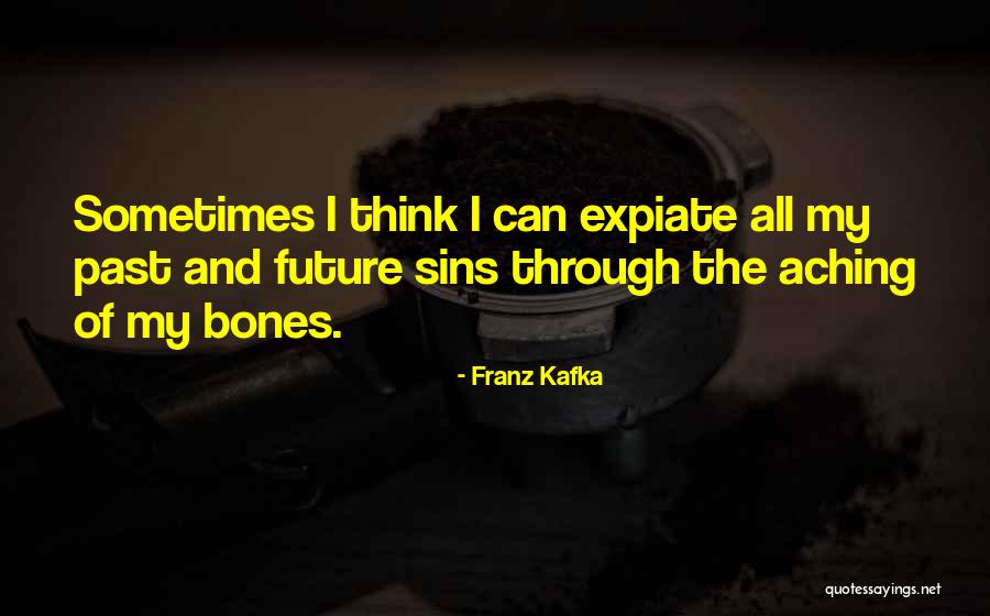 Sins Of The Past Quotes By Franz Kafka