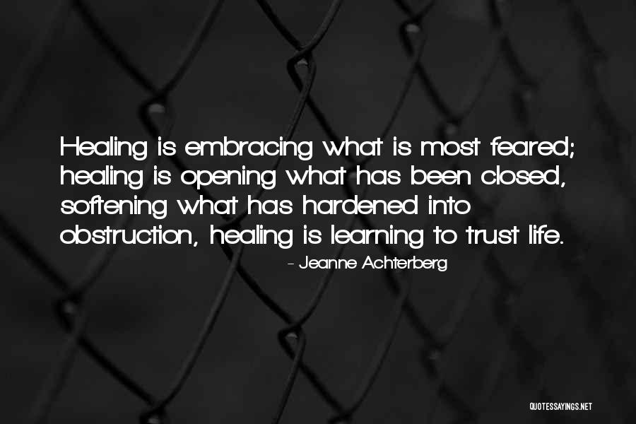 Sinsajo Animal Quotes By Jeanne Achterberg Sinsajo Animal Quotes By Jeanne Achterberg