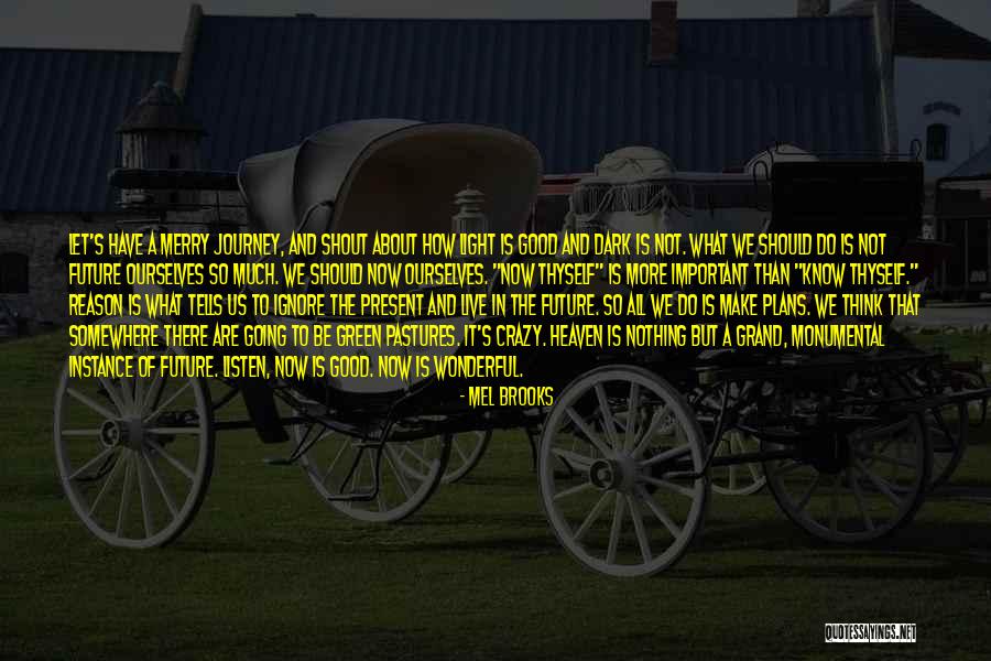 Sint Jan Tisselt Quotes By Mel Brooks Sint Jan Tisselt Quotes By Mel Brooks