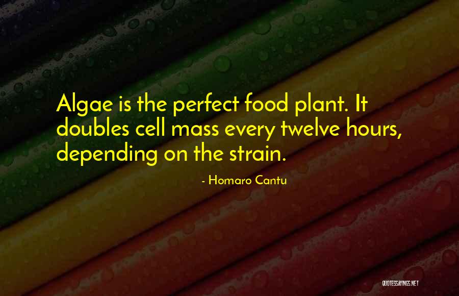 Sintayehu Sallalich Quotes By Homaro Cantu Sintayehu Sallalich Quotes By Homaro Cantu