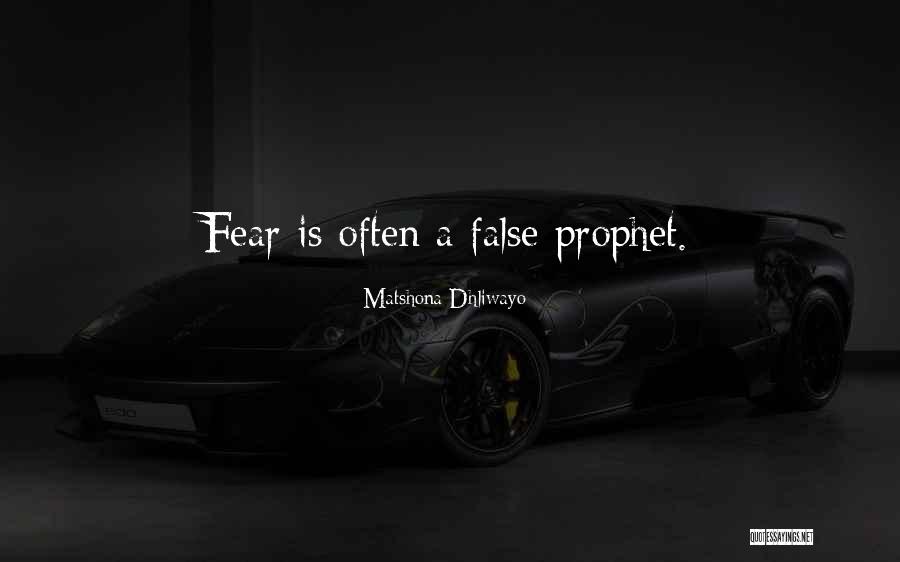 Sintetizacion Quotes By Matshona Dhliwayo