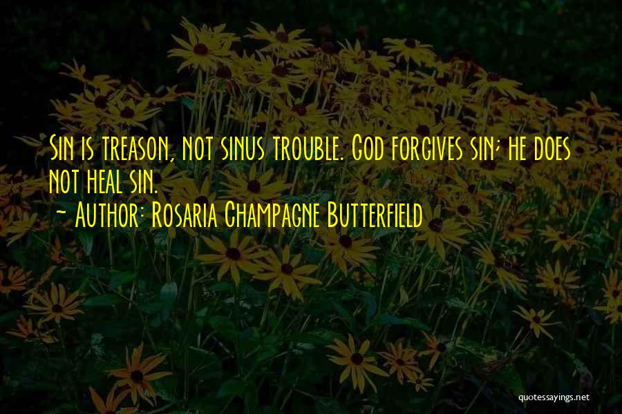 Sinus Quotes By Rosaria Champagne Butterfield