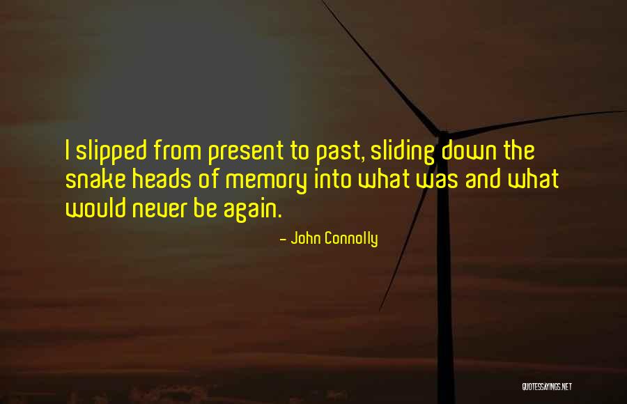 Sio2 Molecular Quotes By John Connolly Sio2 Molecular Quotes By John Connolly
