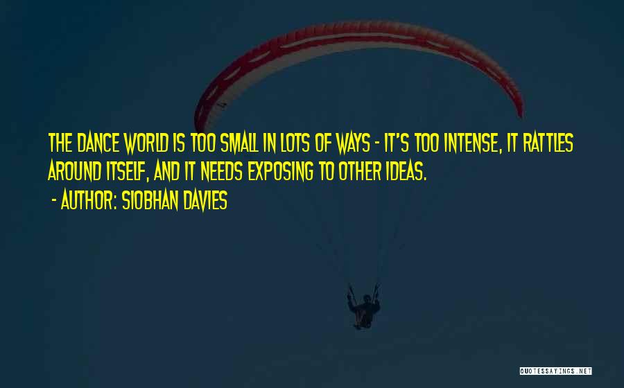 Siobhan Davies Quotes 1058079
