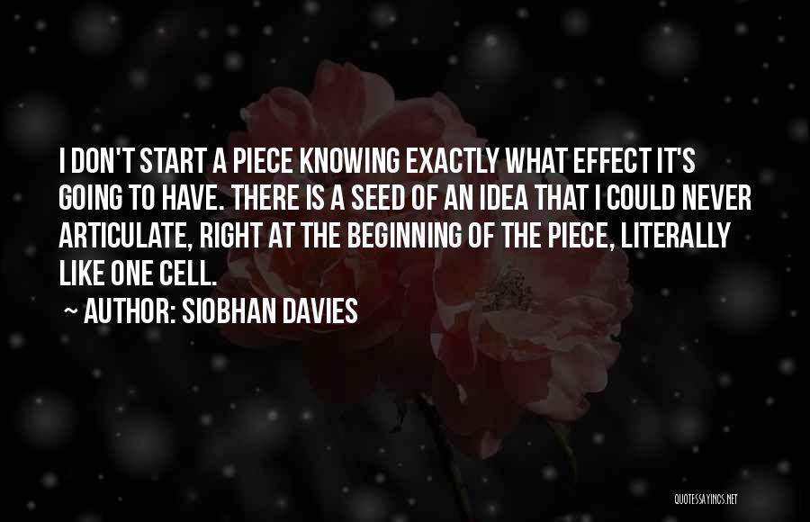 Siobhan Davies Quotes 1574856