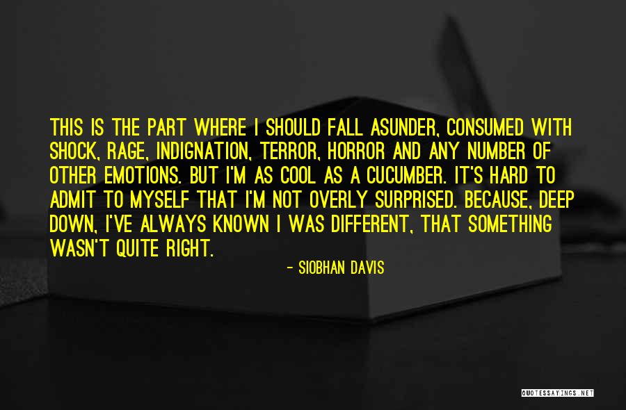 Siobhan Davis Quotes 1719356