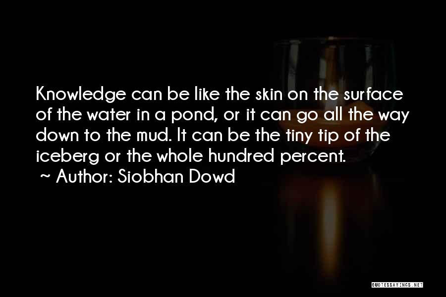 Siobhan Dowd Quotes 1575650