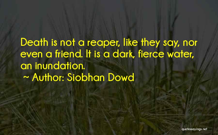 Siobhan Dowd Quotes 2143747