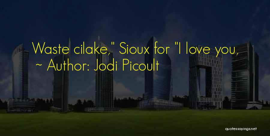 Sioux Love Quotes By Jodi Picoult