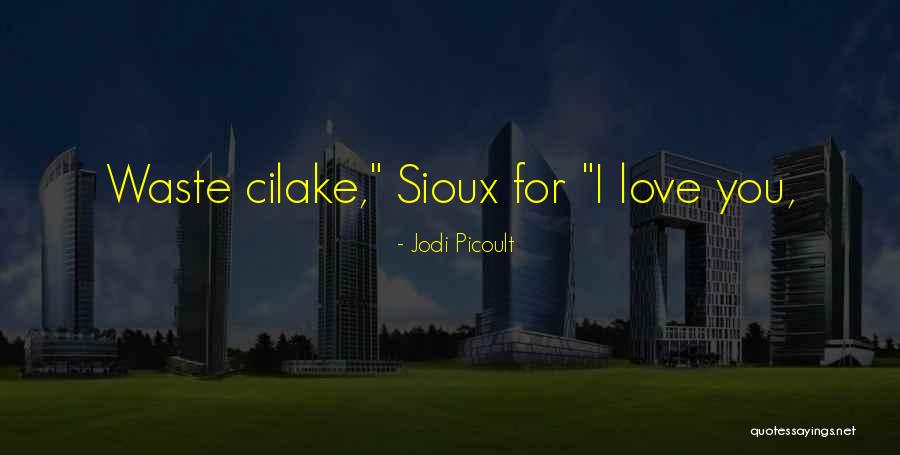 Sioux Quotes By Jodi Picoult