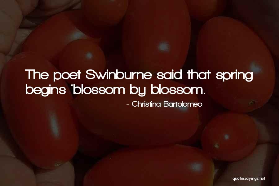 Siparis Takibi Quotes By Christina Bartolomeo Siparis Takibi Quotes By Christina Bartolomeo