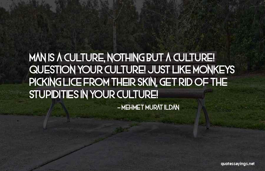 Sipon Denpasar Quotes By Mehmet Murat Ildan Sipon Denpasar Quotes By Mehmet Murat Ildan