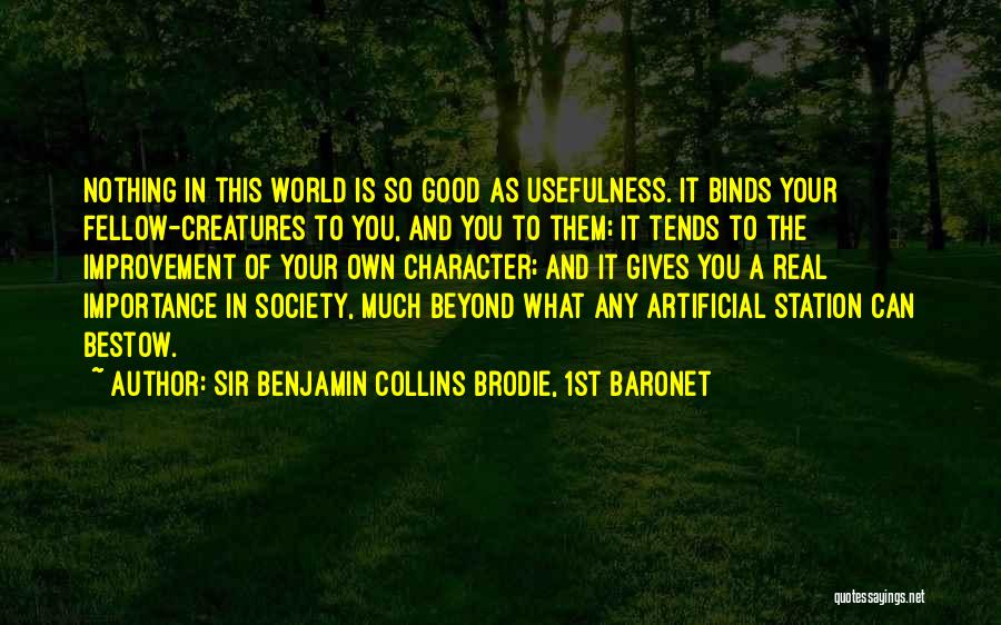 Sir Benjamin Collins Brodie, 1st Baronet Quotes 499323