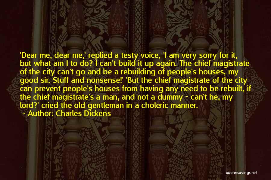 Sir Chief Quotes By Charles Dickens