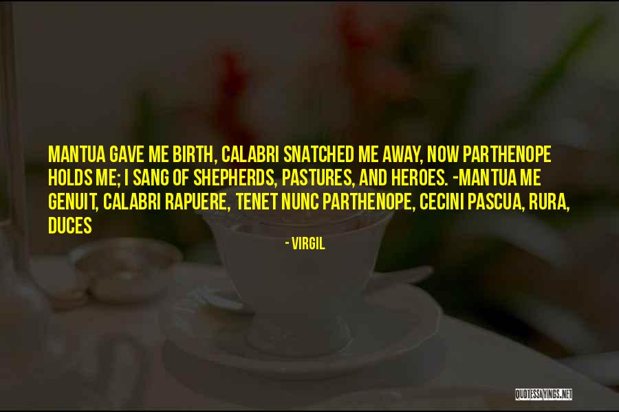 Sir Thomas Gage Quotes By Virgil Sir Thomas Gage Quotes By Virgil
