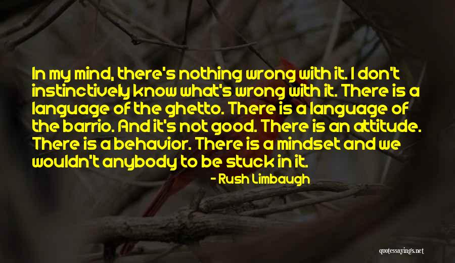 Siracusano Psychiatrist Quotes By Rush Limbaugh Siracusano Psychiatrist Quotes By Rush Limbaugh