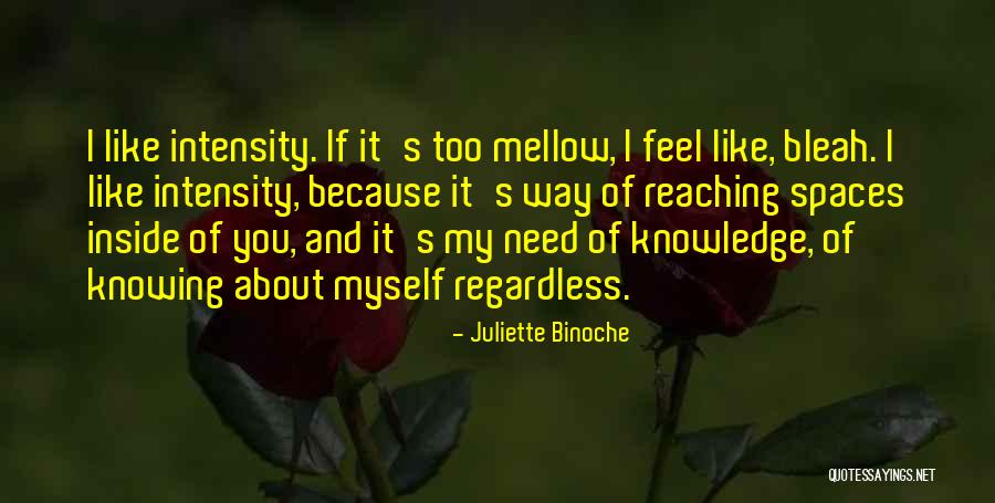 Sirata Beach Resort Quotes By Juliette Binoche Sirata Beach Resort Quotes By Juliette Binoche