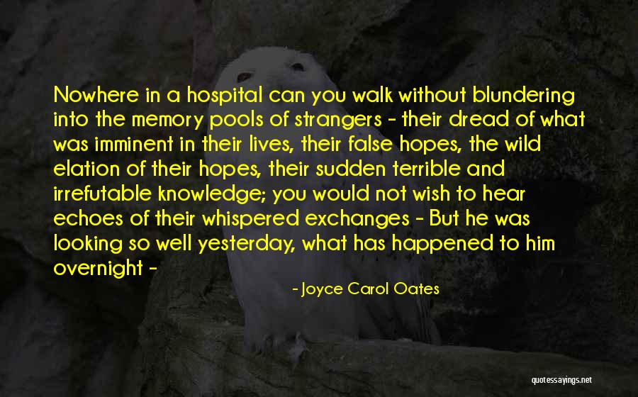 Sirbu Simona Quotes By Joyce Carol Oates Sirbu Simona Quotes By Joyce Carol Oates