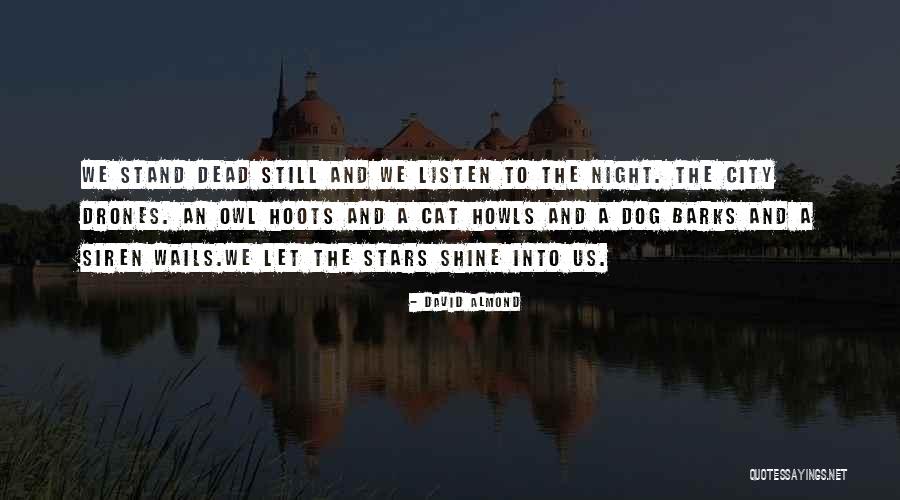 Siren Quotes By David Almond Siren Quotes By David Almond