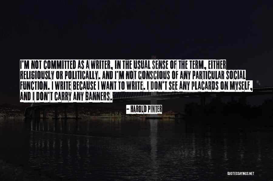 Sireteanu Mures Quotes By Harold Pinter Sireteanu Mures Quotes By Harold Pinter