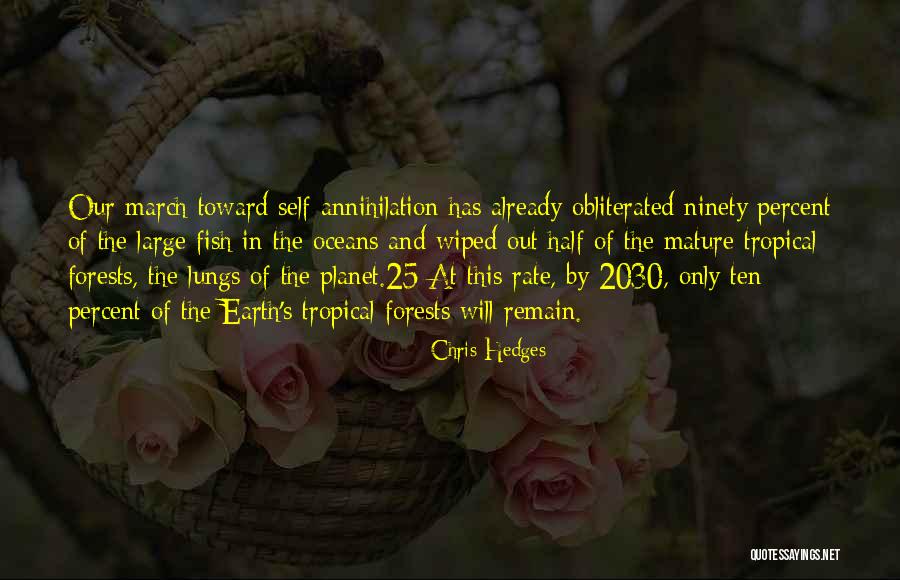 Siriannis Cafe Quotes By Chris Hedges Siriannis Cafe Quotes By Chris Hedges