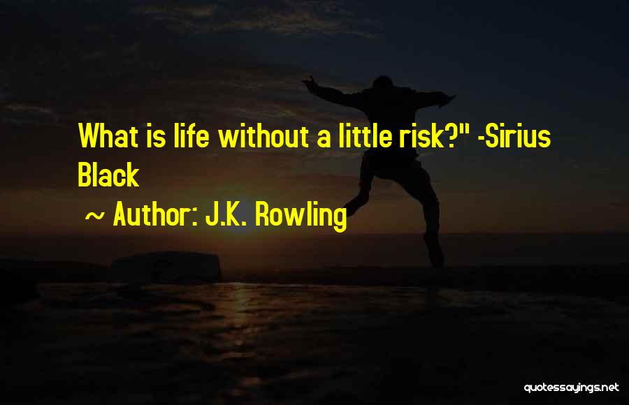 Sirius And Harry Quotes By J.K. Rowling