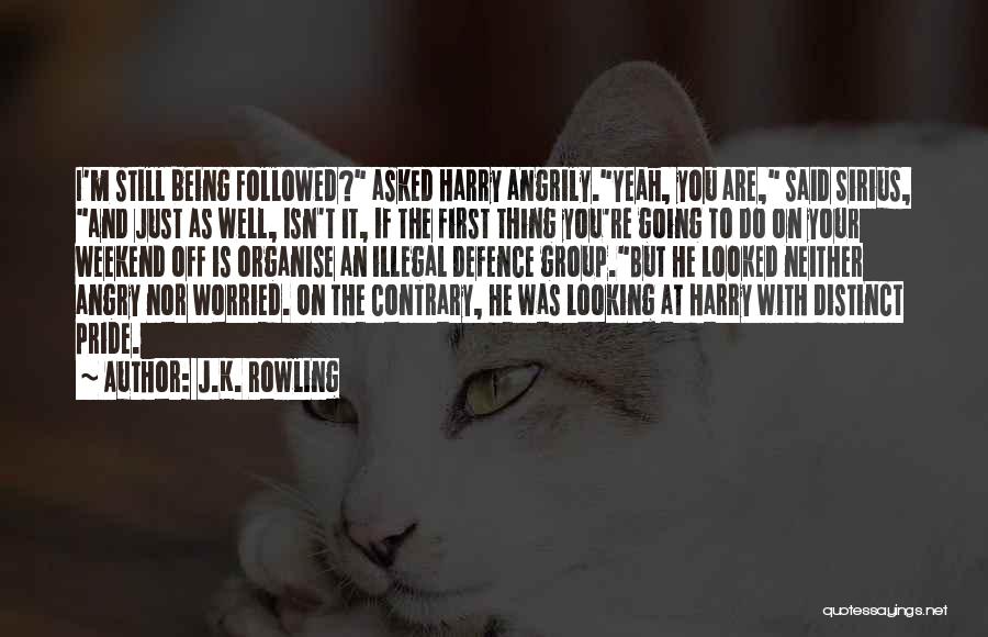 Sirius And Harry Quotes By J.K. Rowling