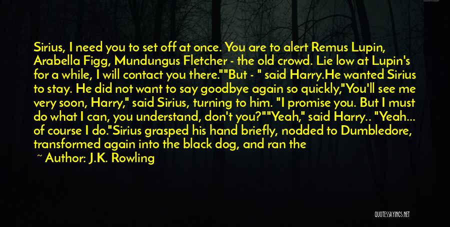 Sirius And Harry Quotes By J.K. Rowling