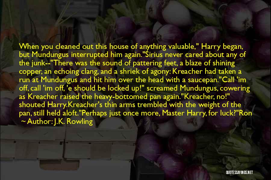 Sirius And Harry Quotes By J.K. Rowling