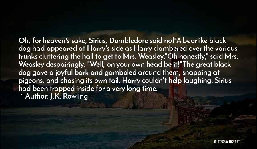 Sirius And Harry Quotes By J.K. Rowling