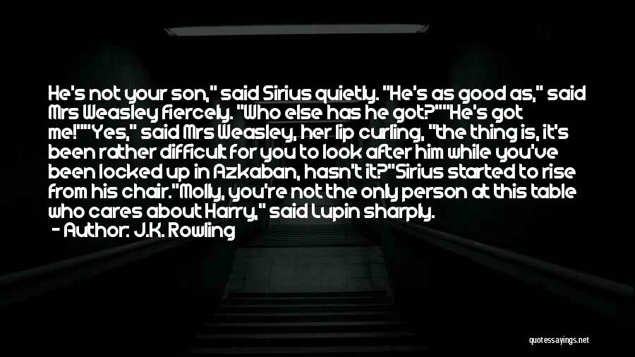 Sirius And Harry Quotes By J.K. Rowling