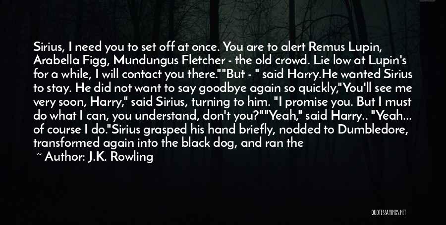 Sirius And Remus Quotes By J.K. Rowling
