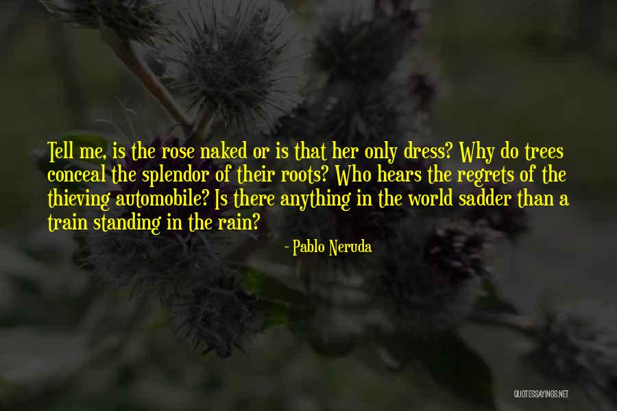 Siriussirius Quotes By Pablo Neruda Siriussirius Quotes By Pablo Neruda