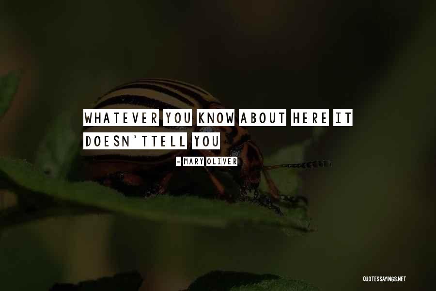 Siriwardana Ayye Quotes By Mary Oliver Siriwardana Ayye Quotes By Mary Oliver
