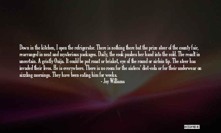 Sirloin Tip Quotes By Joy Williams Sirloin Tip Quotes By Joy Williams